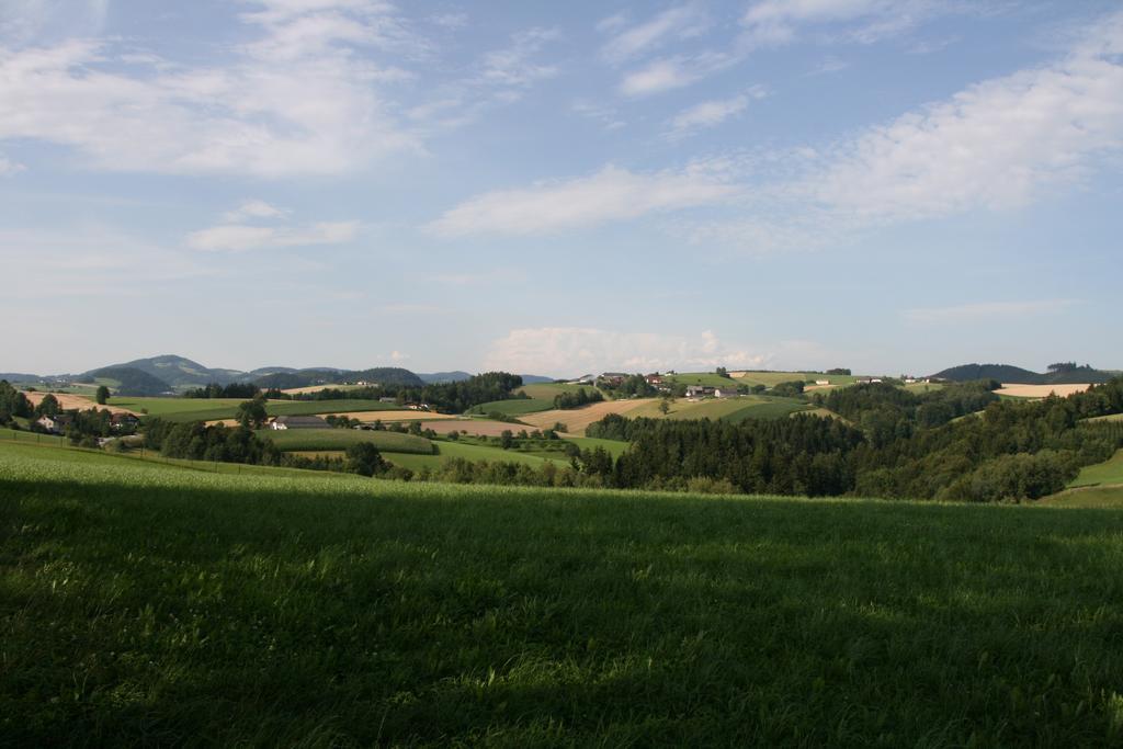 Kirchenwirt Inn Kreuzen  Buitenkant foto